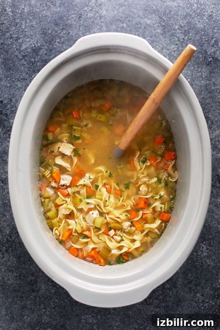Chicken noodle soup in crock pot chicken noodle soup crock pot with spoon
