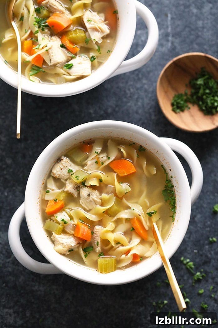 Bowl of chicken noodle soup soup in bowl with spoon