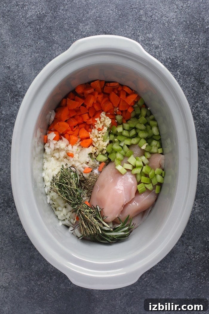 Chicken soup ingredients in slow cooker chicken soup ingredients in slow cooker