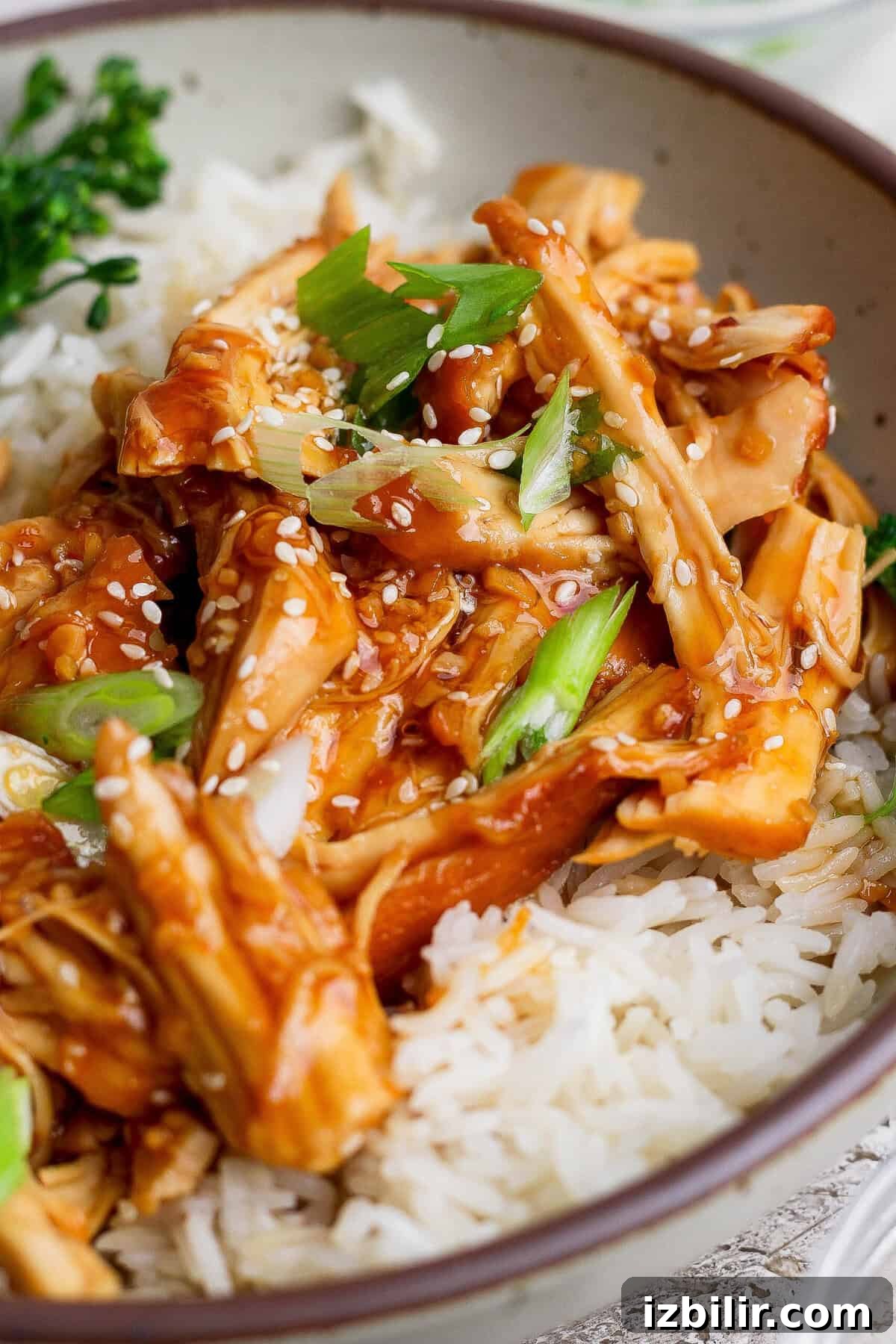 Sticky Honey Garlic Chicken Recipe 10 Honey garlic chicken over white rice garnished with sesame seeds and green onions