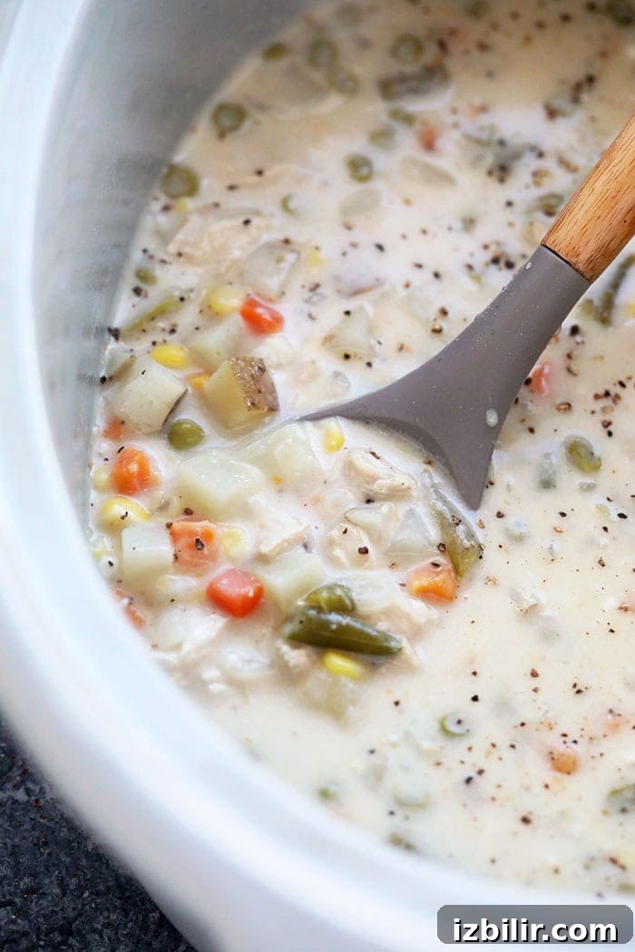 Slow Cooker Chicken Pot Pie Soup Slow cooker chicken pot pie soup with a spoon.