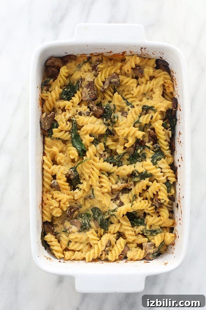 vegan pasta bake with white wine pasta sauce in a casserole dish