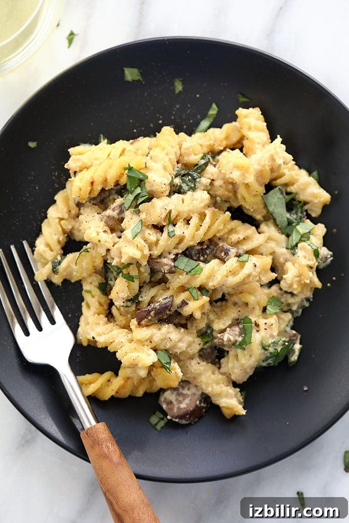 vegan pasta bake with white wine cheese sauce in a bowl