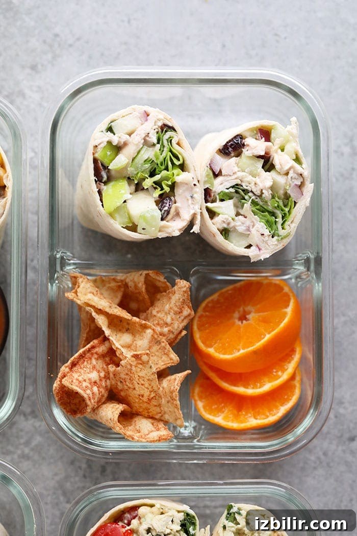 A photo of the cranberry chicken salad bento box