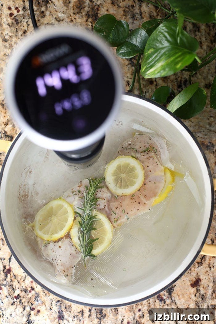 Chicken in the sous vide water bath Sous vide chicken breast in a pot