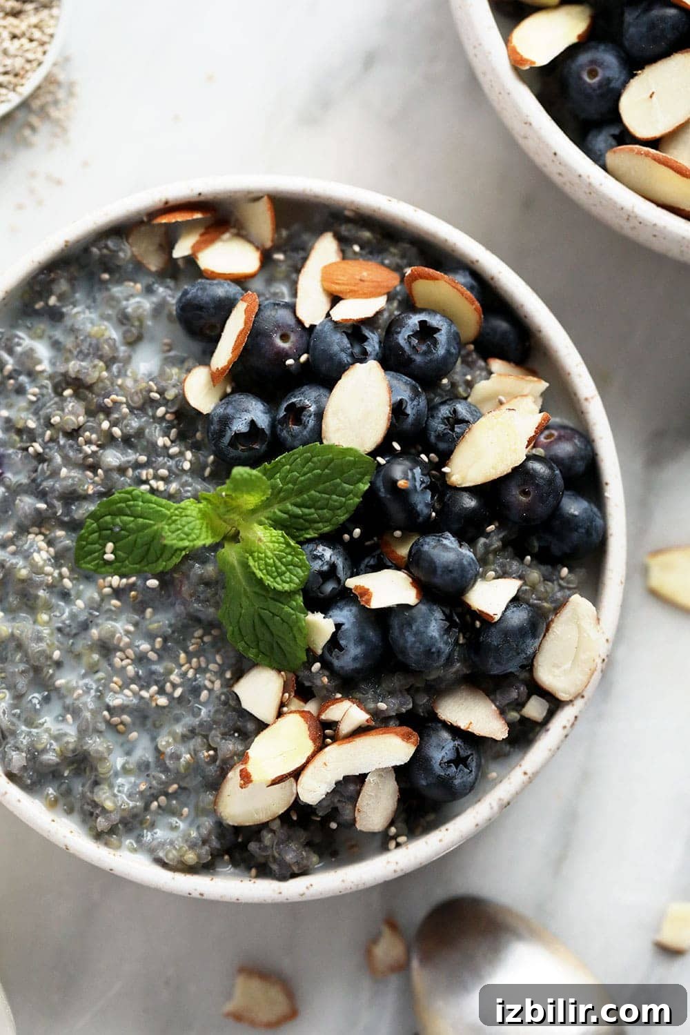 Blueberry breakfast quinoa in a bowl. 