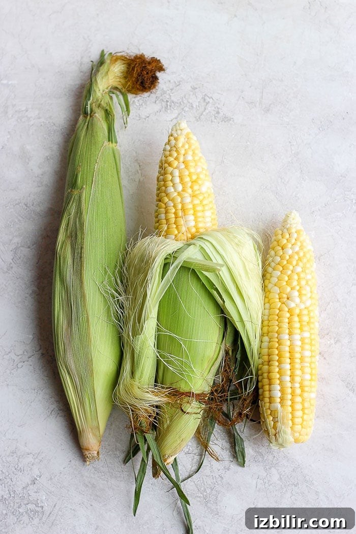 3 ears of corn.