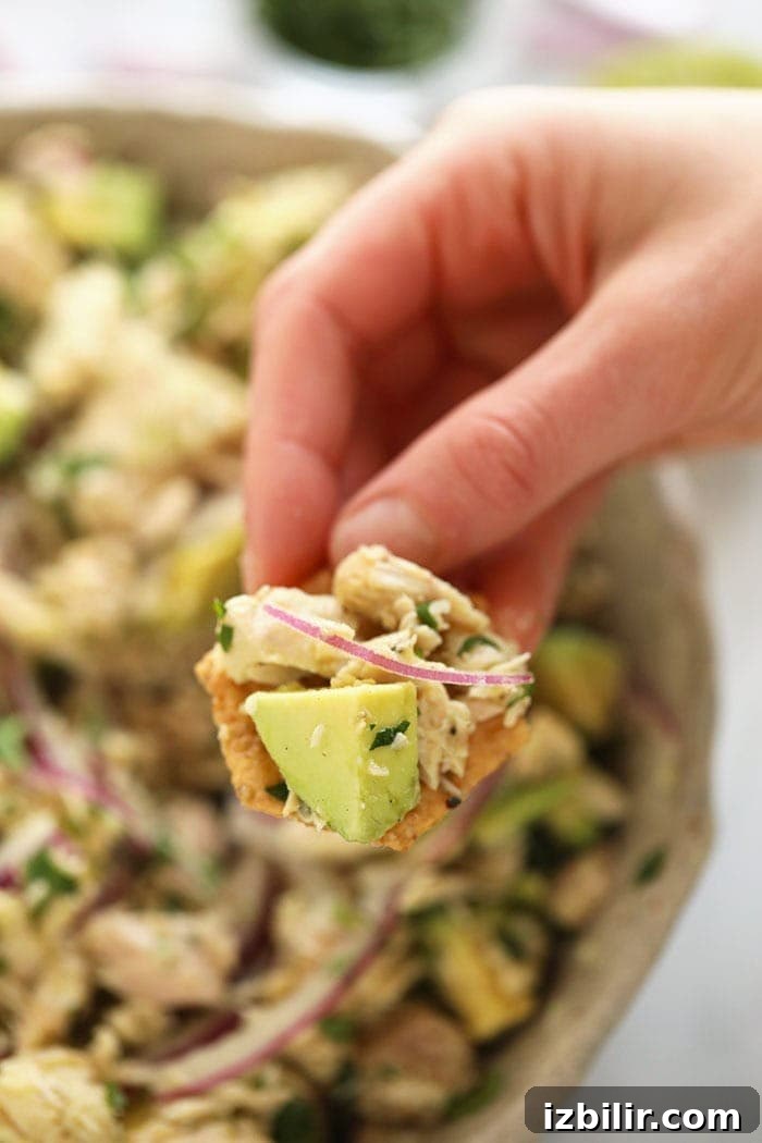 avocado tuna salad on a cracker.