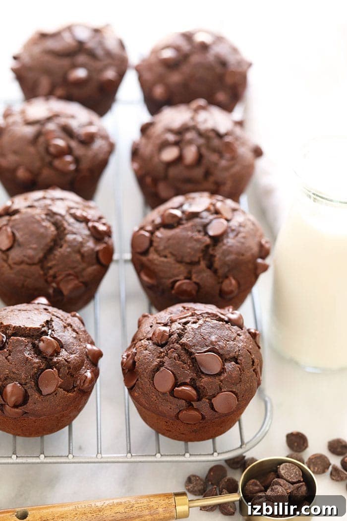 Chocolate Muffins Recipe: Wholesome Morning Treats 2 Healthy chocolate chip muffins on a cooling rack.