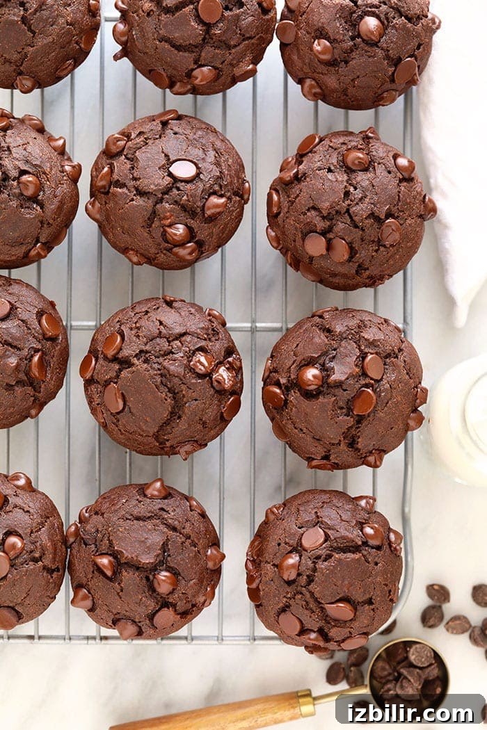 Chocolate Muffins Recipe: Wholesome Morning Treats 5 healthy chocolate muffins on a cooling rack