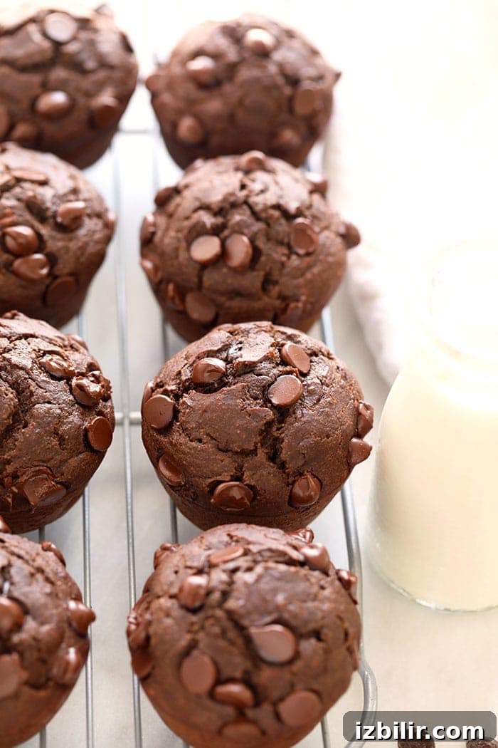 Chocolate Muffins Recipe: Wholesome Morning Treats 6 healthy chocolate muffins on a cooling rack