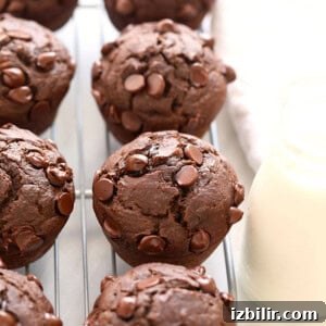 Chocolate Muffins Recipe: Wholesome Morning Treats 7 Healthy chocolate chip muffins cooling on a rack.