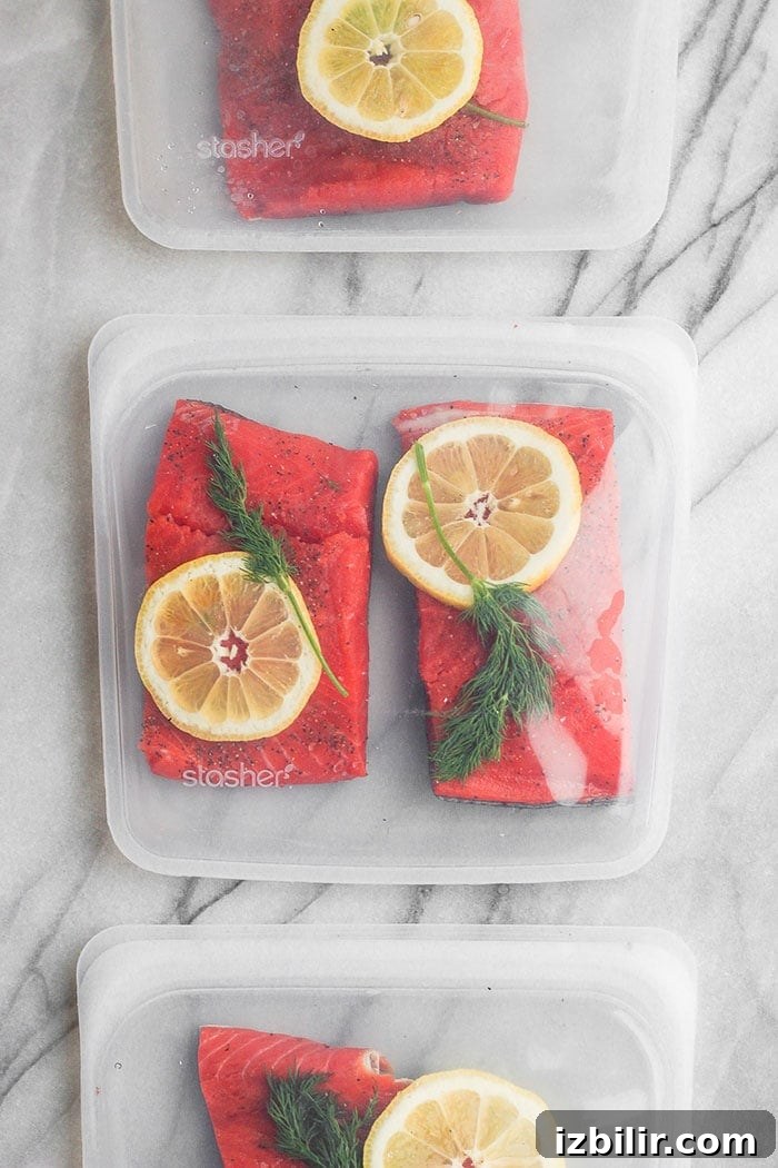Salmon sealed in bags for sous vide. Sous vide salmon in stasher bags.