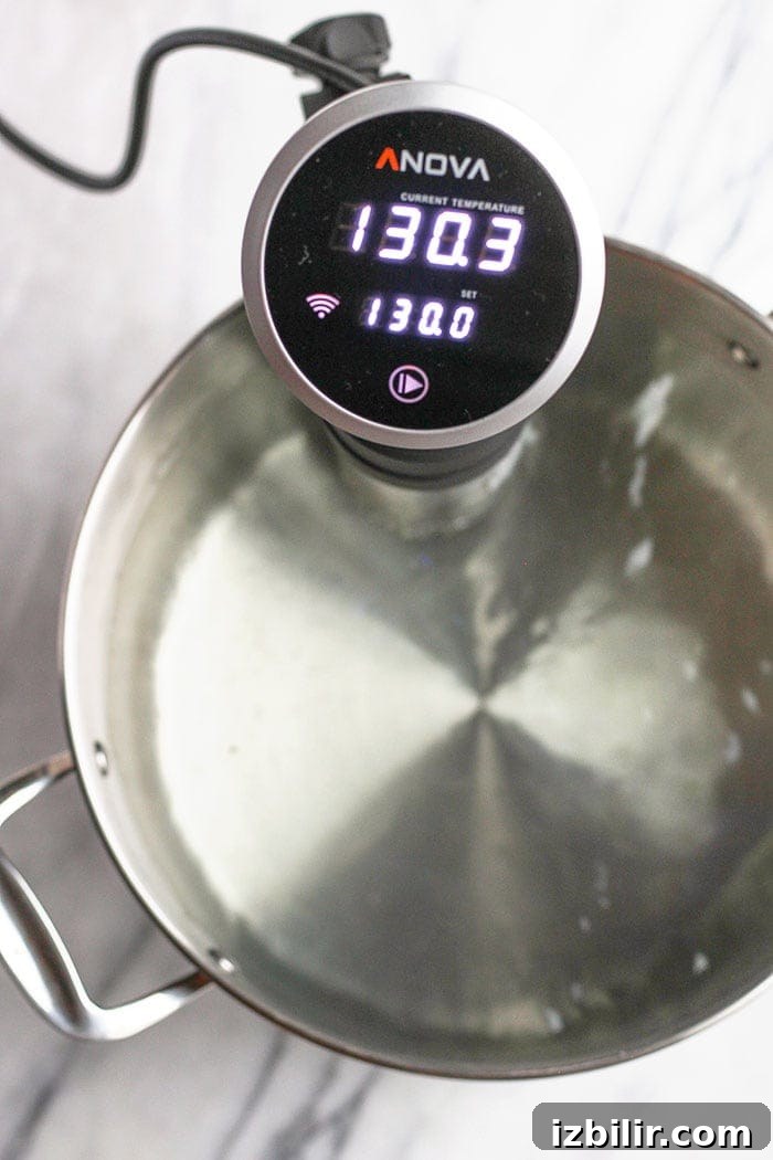 Setting the temperature on a sous vide