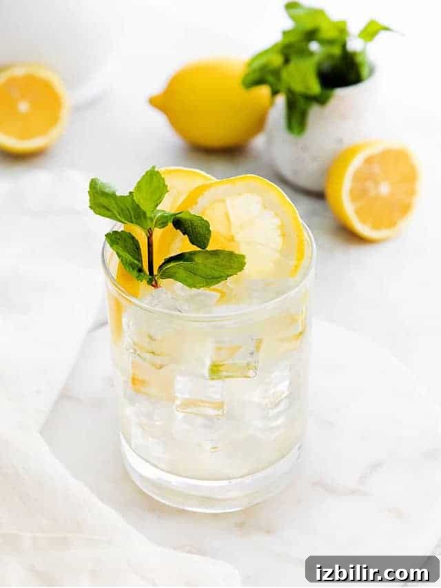 15+ Vodka Cocktail Recipes You Need to Try Tonight 15 vodka lemonade