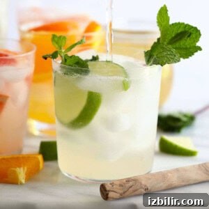 15+ Vodka Cocktail Recipes You Need to Try Tonight 17 A refreshing vodka lime cocktail garnished with mint leaves.