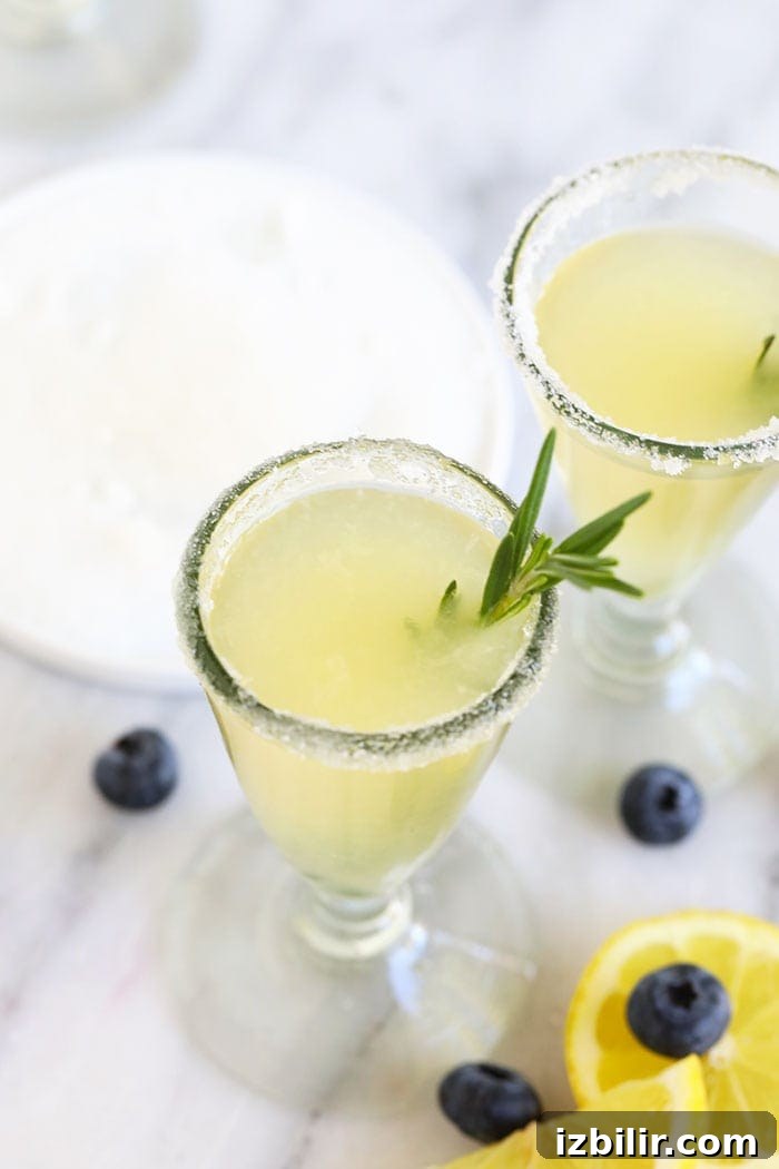 Lemon drop martini lemon drop martini in a glass with rosemary garnish