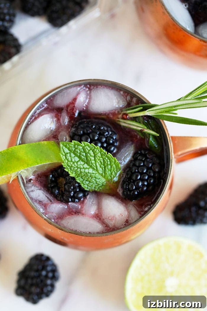Blackberry Moscow Mule garnished with mint moscow mule with blackberries and mint