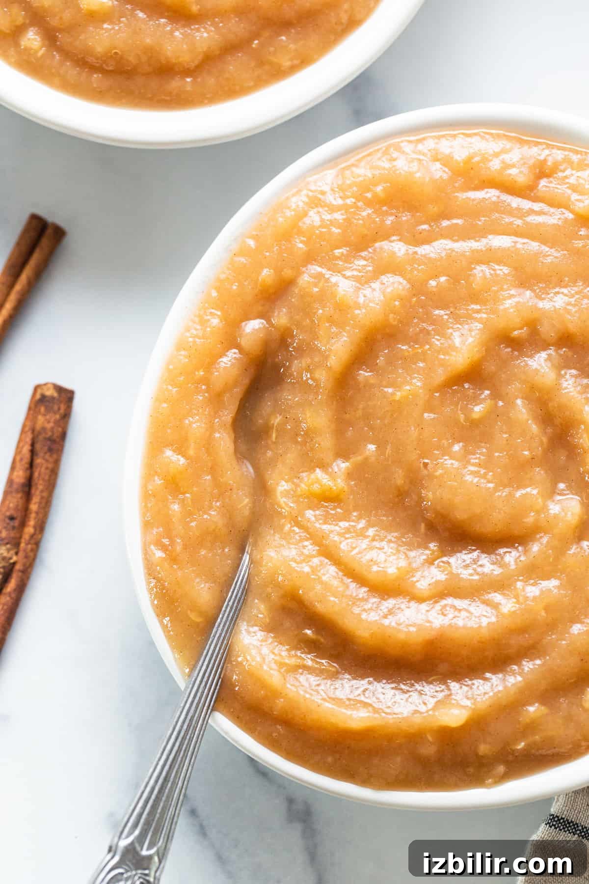 Homemade Instant Pot Applesauce Recipe 6 Applesauce served with cinnamon