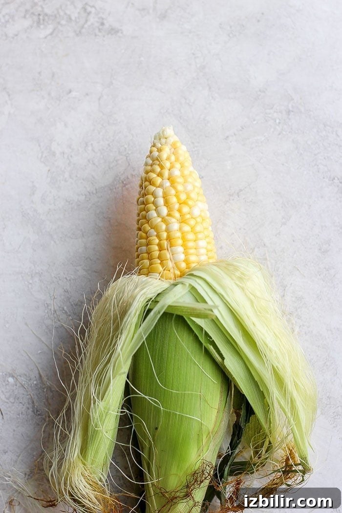 Half shucked corn on the cob Half shucked corn on the cob.