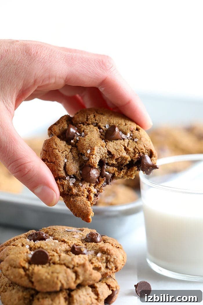 The most perfect healthy chocolate chip cookies that are made with grain free flour, almond butter, chocolate chips, and sea salt! chocolate chip cookies