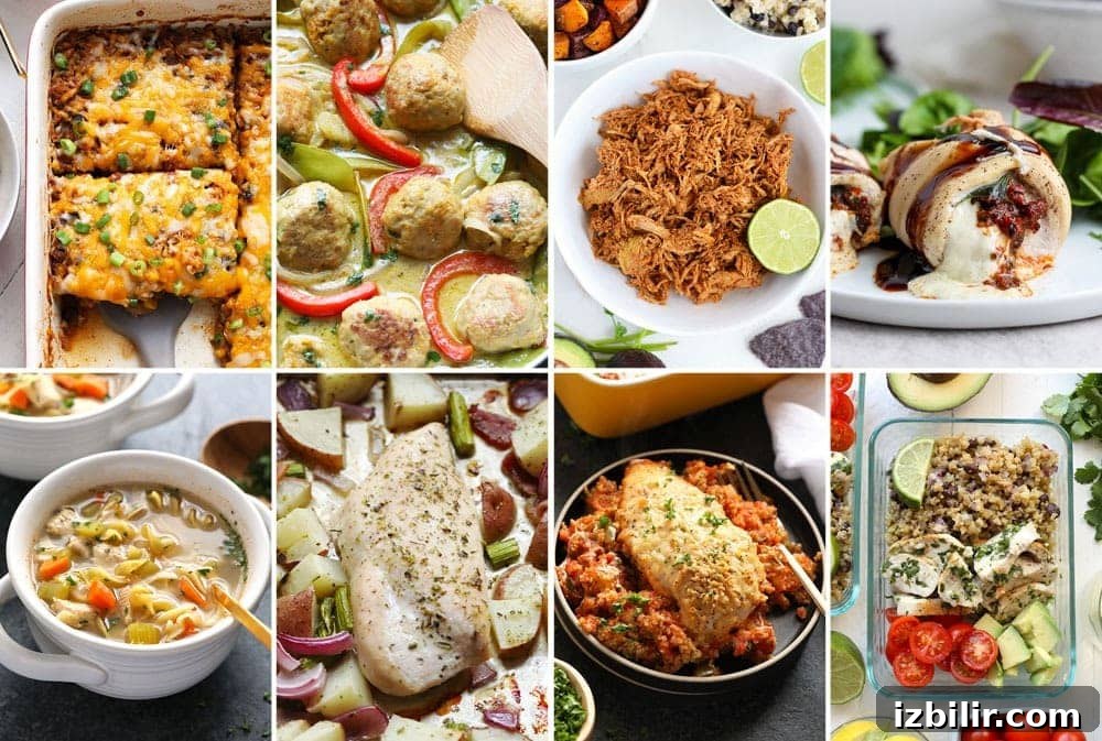 Winner winner, chicken dinner recipes! These healthy recipes are perfect if you haven chicken breasts, wings, drummies, or heck, even a whole chicken on hand! healthy dinners with chicken