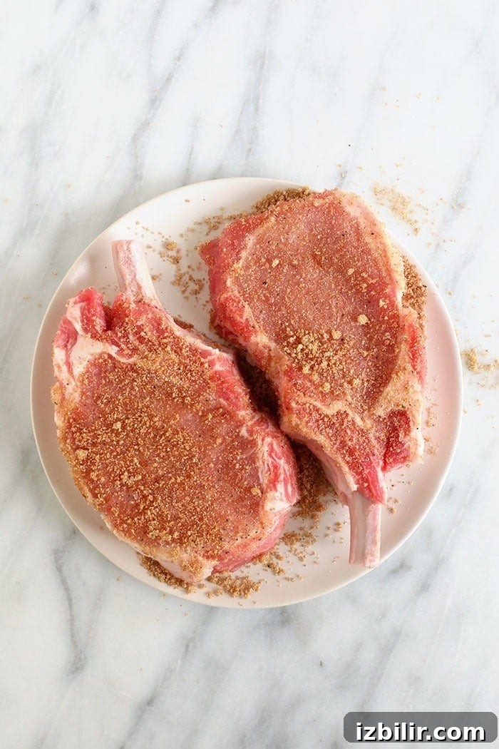Pork chops seasoned with dry rub pork chops with spices on them