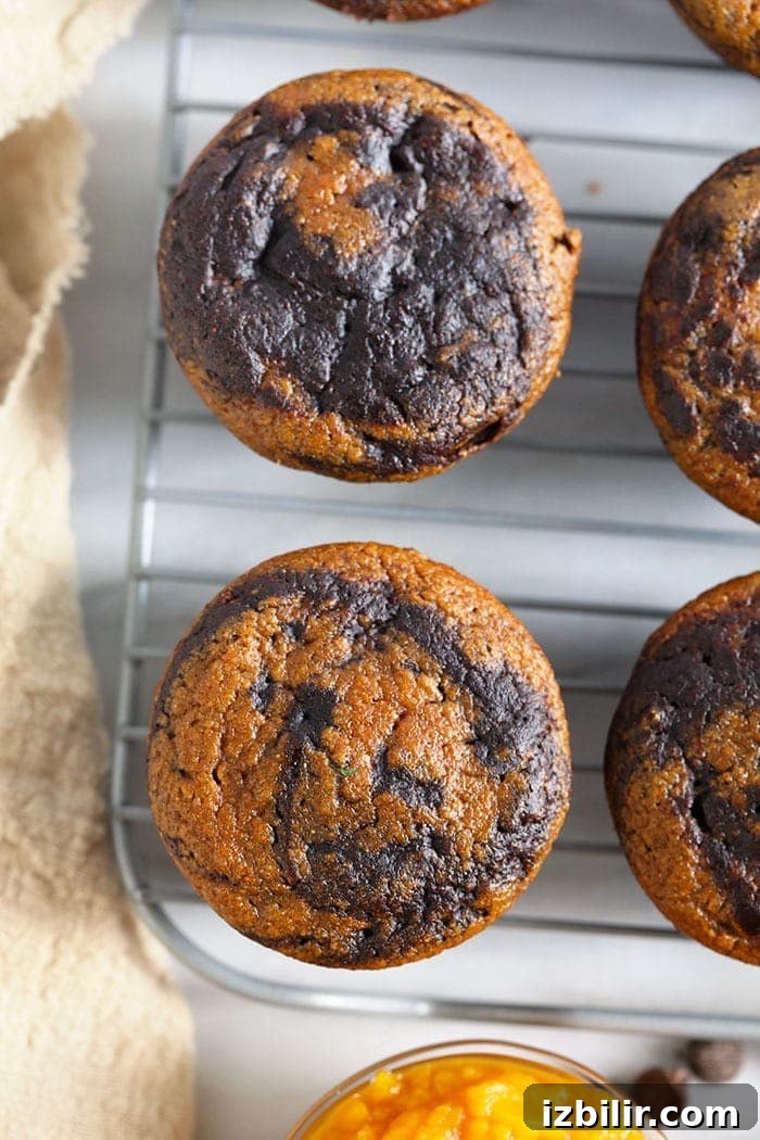 Chocolate Pumpkin Zucchini Muffins on a cooling rack chocolate pumpkin zucchini muffins on a cooling rack