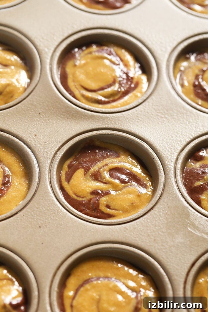 Swirled pumpkin and chocolate muffin batter how to swirl muffins with pumpkin and chocolate