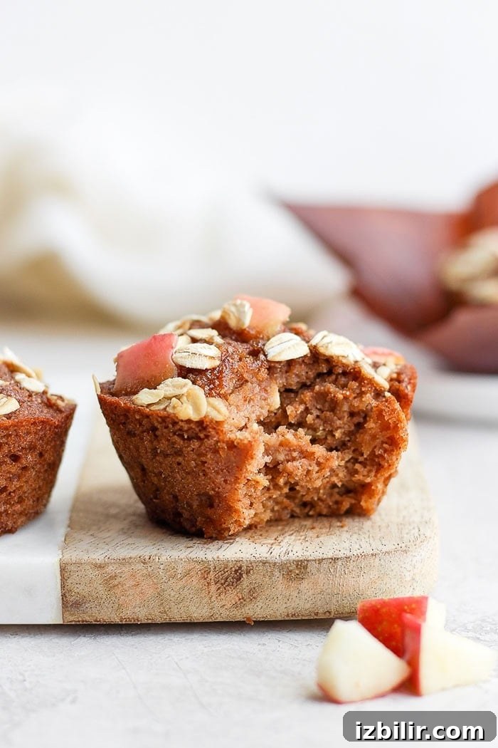 Apple Cinnamon Muffins apple cinnamon muffins