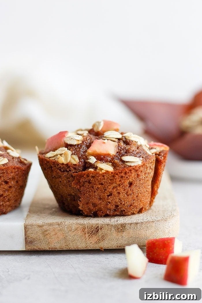 Warm Apple Cinnamon Muffins with Streusel Topping 5 muffins ready to freeze