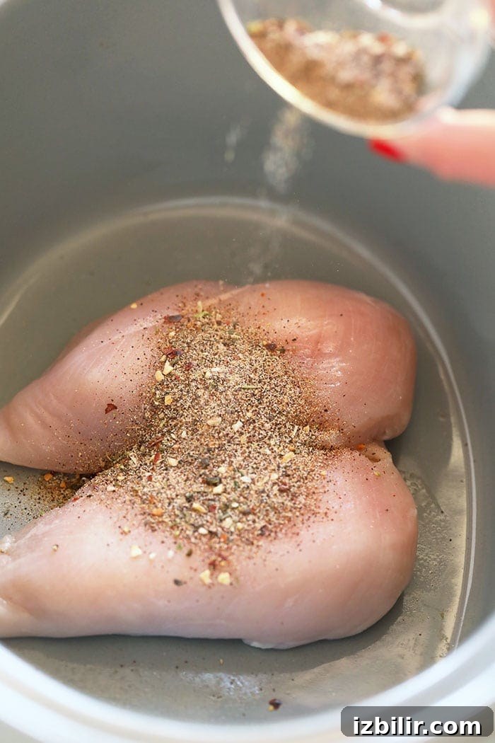 Seasoned chicken breasts in a slow cooker. chicken breast in slow cooker with spices