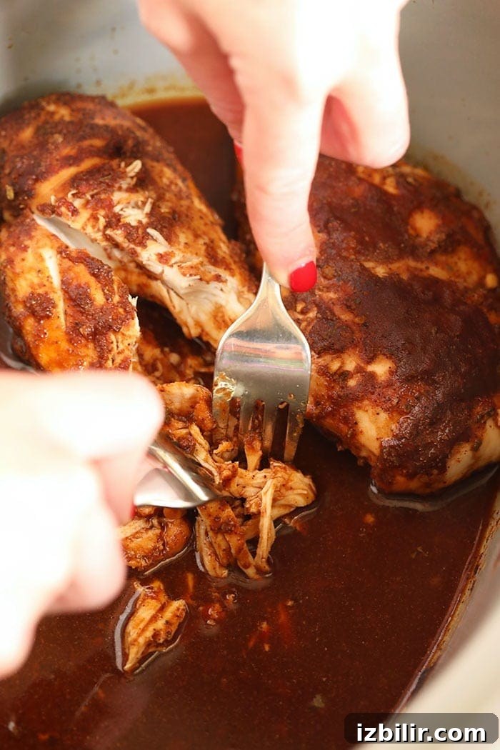 Shredding slow cooker BBQ pulled chicken. shredding bbq chicken in crock pot