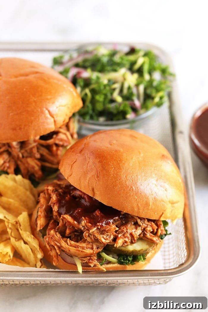 Pulled BBQ chicken sandwich with chips. pulled bbq chicken on bun with chips