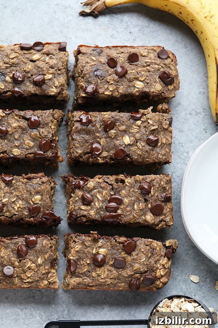 oatmeal chocolate chip bars