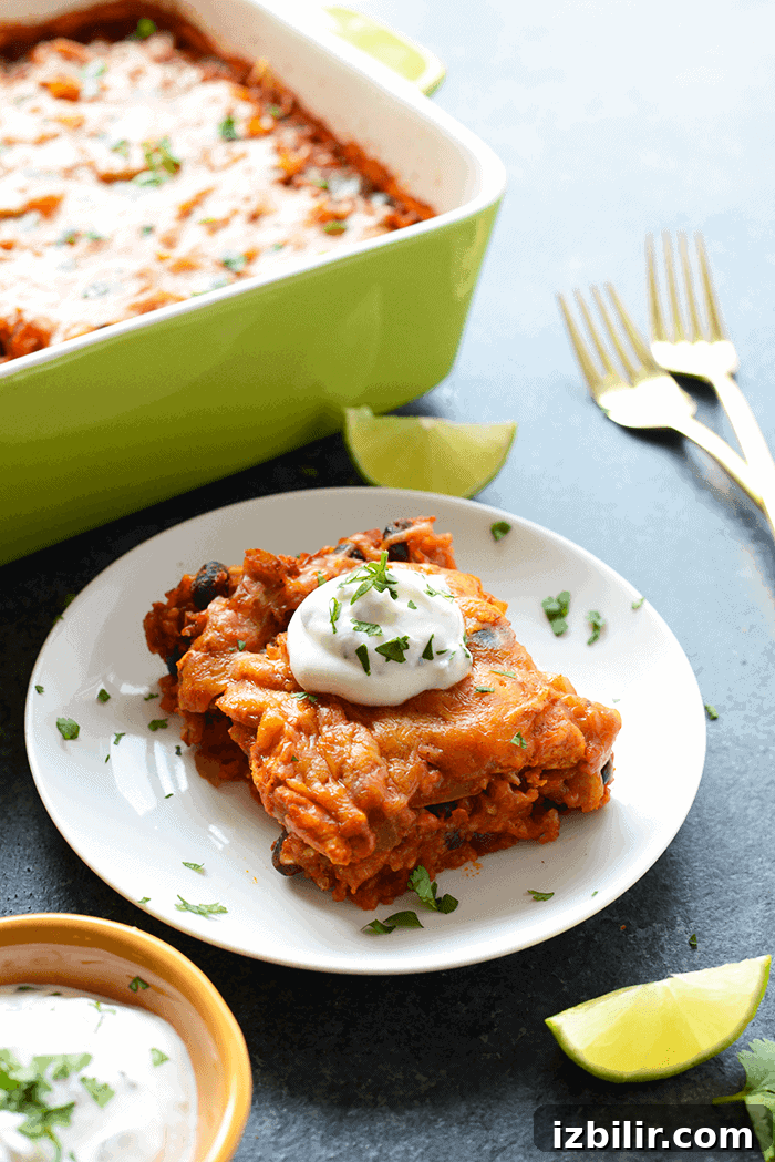 Chicken enchilada casserole