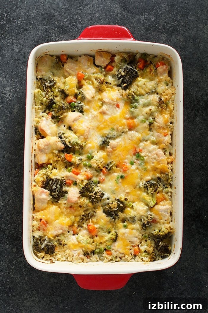 Baked chicken and rice casserole in a red pan