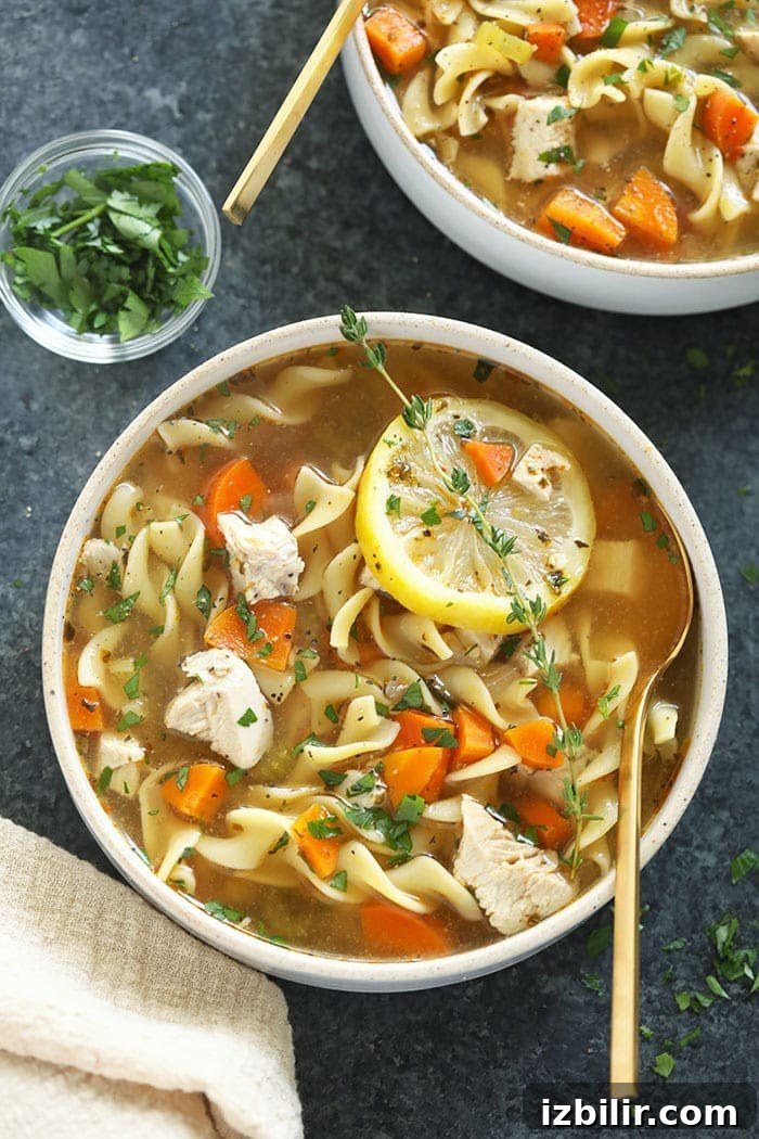 Homemade chicken noodle soup with vegetables and egg noodles chicken noodle soup in bowls