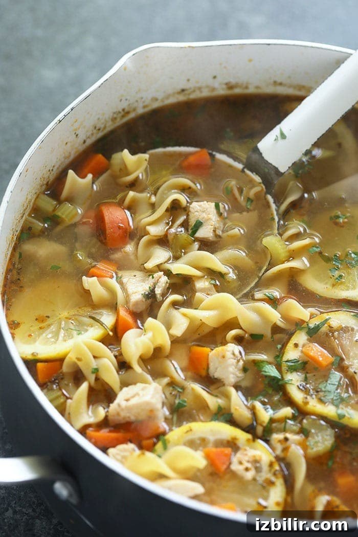Large stock pot of chicken noodle soup soup in large stock pot