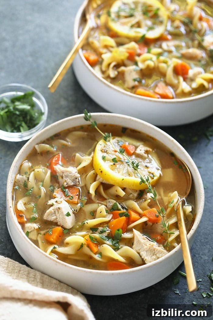 Bowl of homemade chicken noodle soup chicken noodle soup in bowl