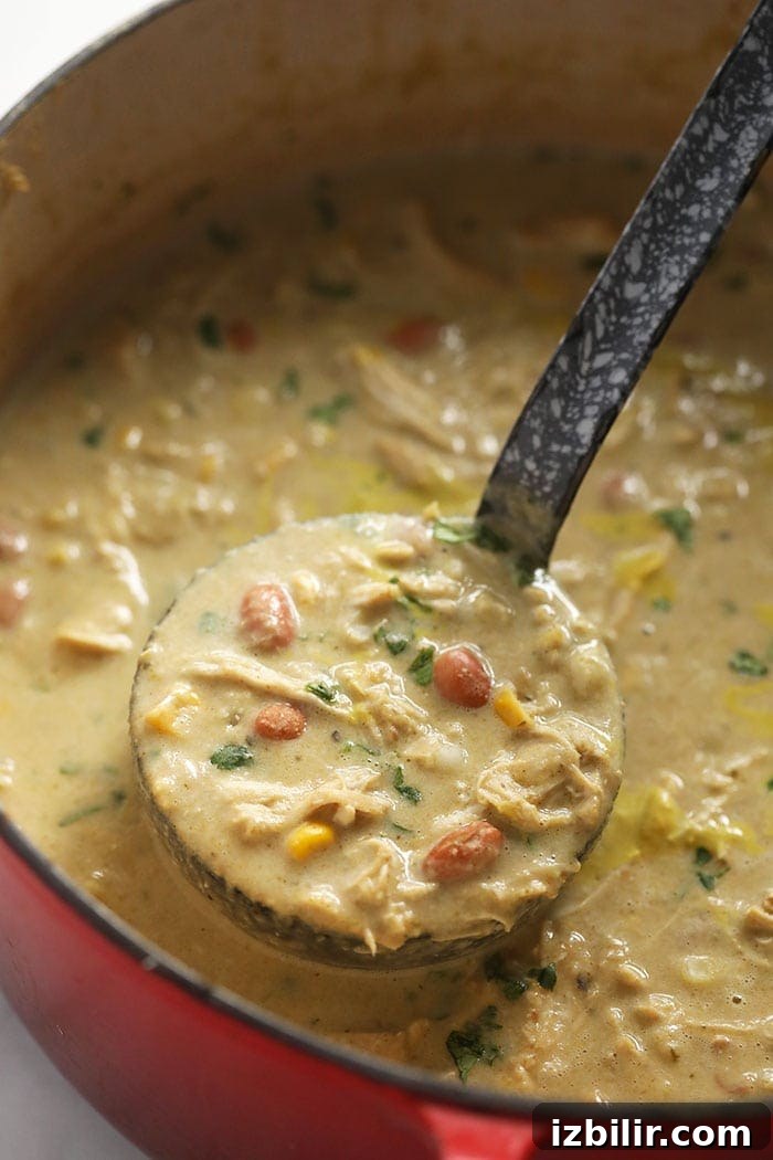white bean chicken chili on a ladle.