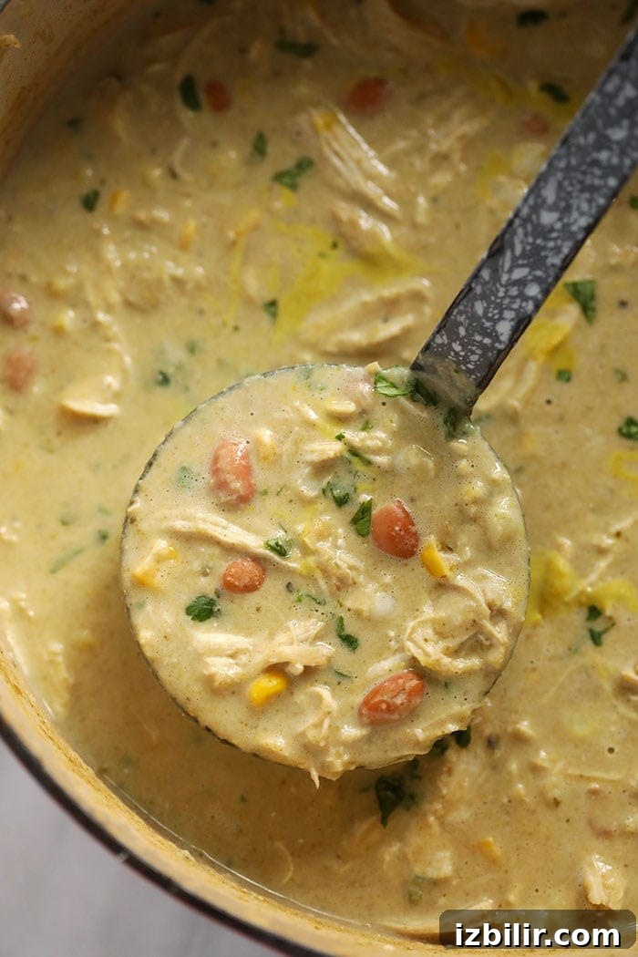 white bean chicken chili on a ladle in a dutch oven.