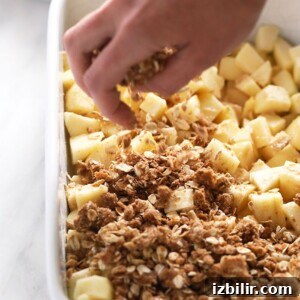 Homemade Apple Crisp with Oat Streusel 2 a person assembling an Apple crisp recipe