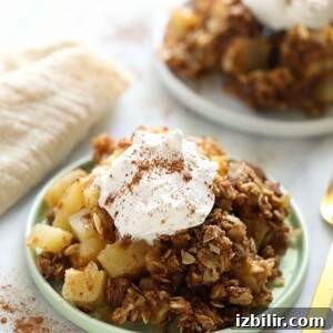 Homemade Apple Crisp with Oat Streusel 3 Apple crisp recipe