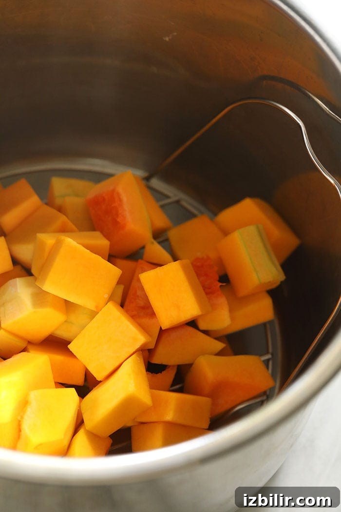 Butternut Squash in an Instant Pot