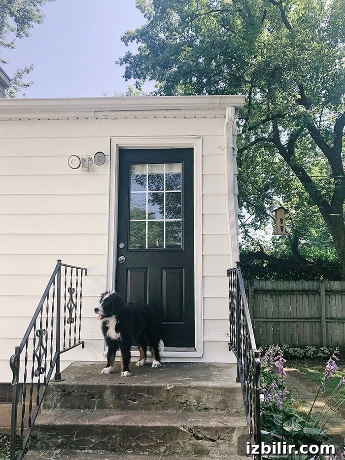 charcoal door with white siding