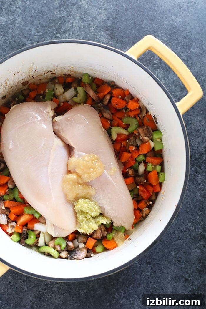 chicken noodle soup with chicken and veggies in a pot ready to be cooked