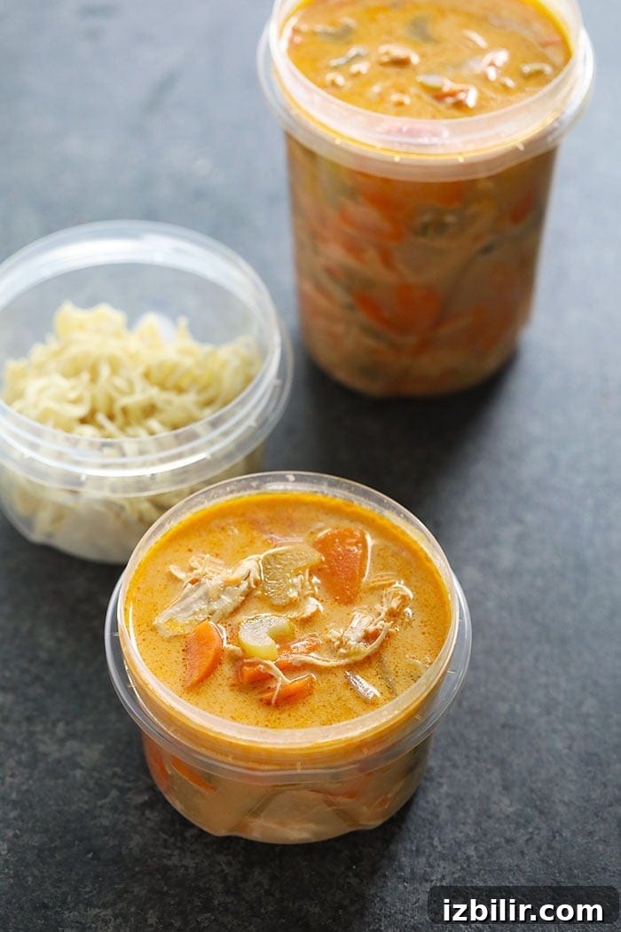 how to freeze asian chicken noodle soup into containers