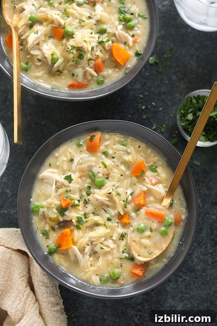 creamy chicken noodle soup