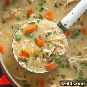 A creamy spoonful of chicken noodle soup with carrots and peas.